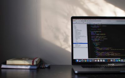 Audit d’un logiciel : la continuité de l’exploitation est-elle garantie en cas de départ du développeur ?